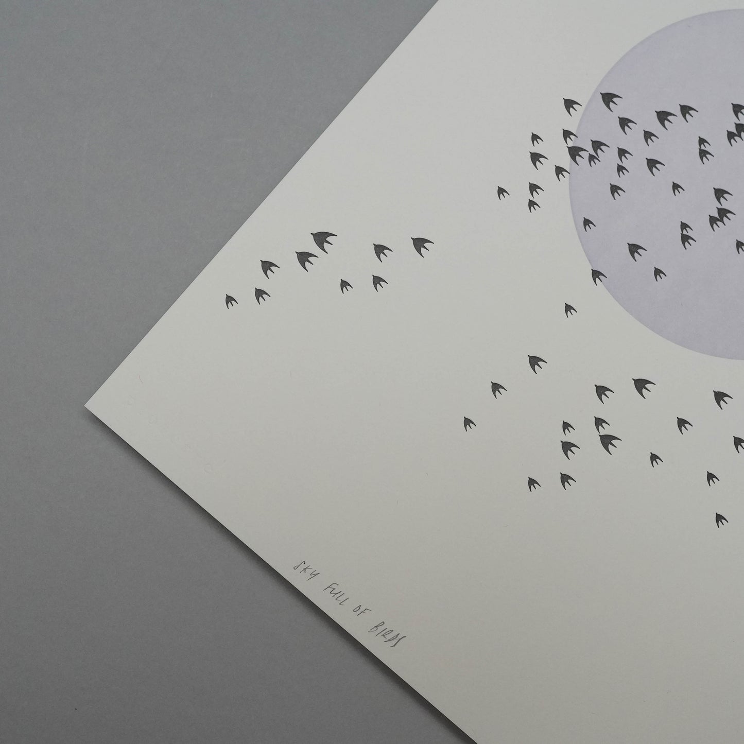 A4 Limited Edition Birds Letterpress Print
