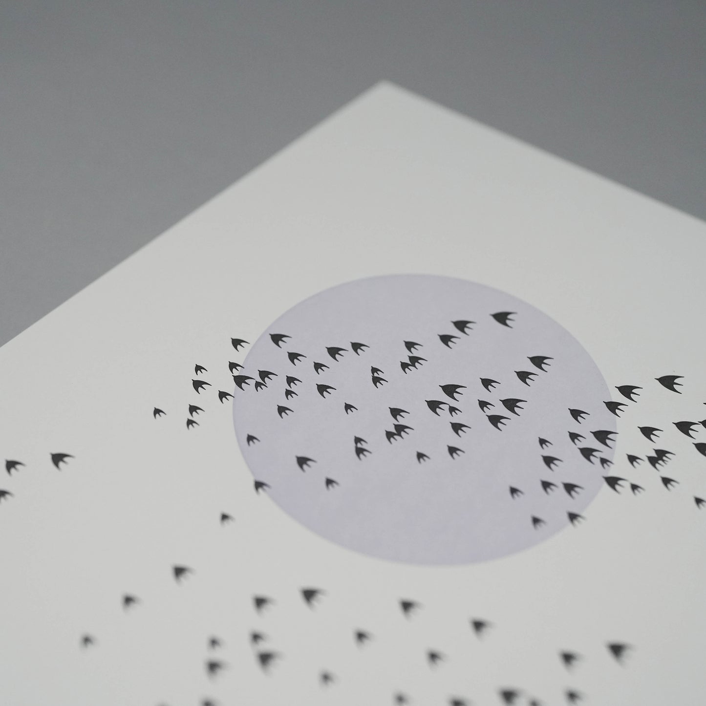 A4 Limited Edition Birds Letterpress Print
