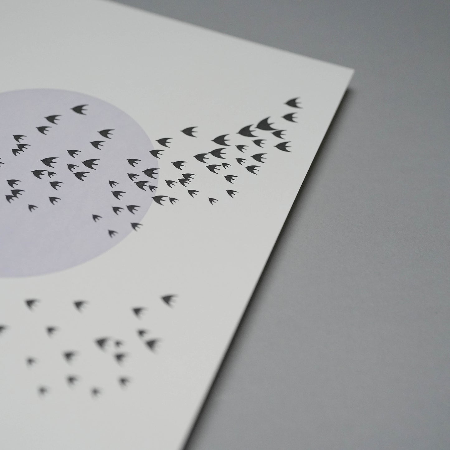 A4 Limited Edition Birds Letterpress Print