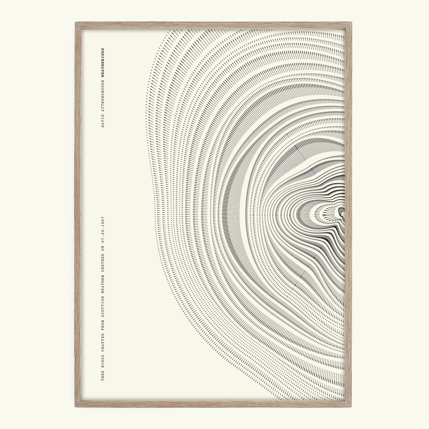 A3 Personalised Unframed Tree Ring Print