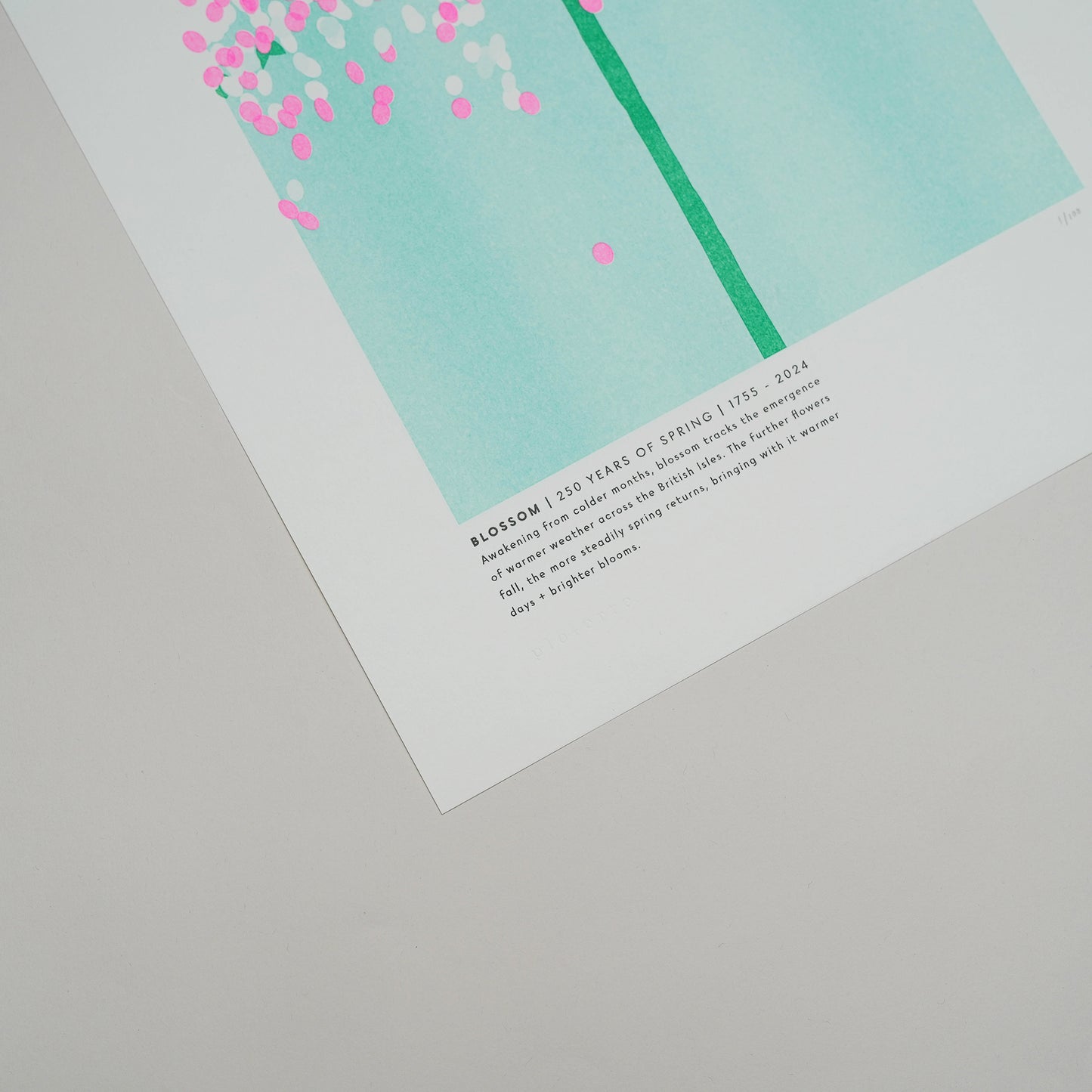 Blossom Risograph Print