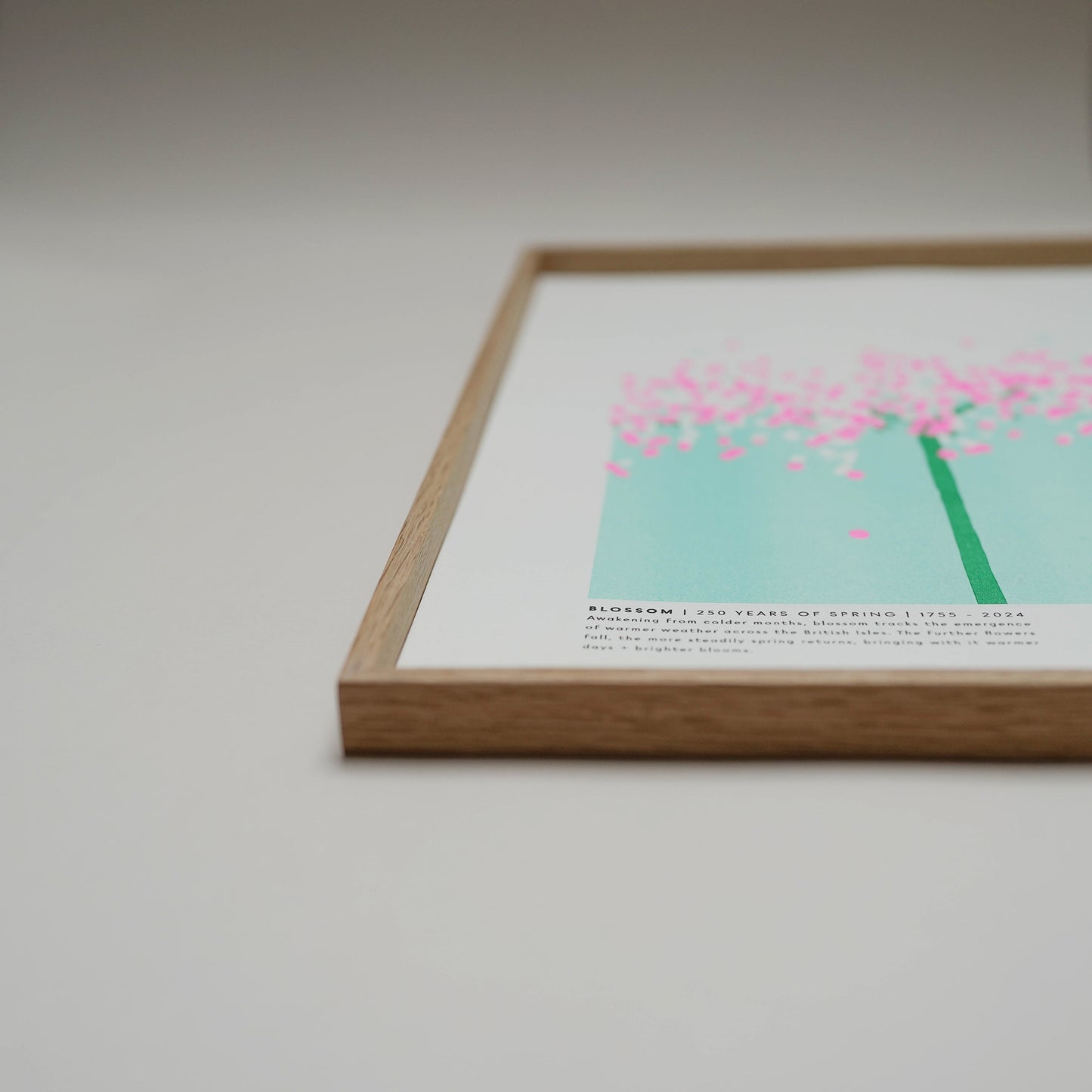 Blossom Risograph Print