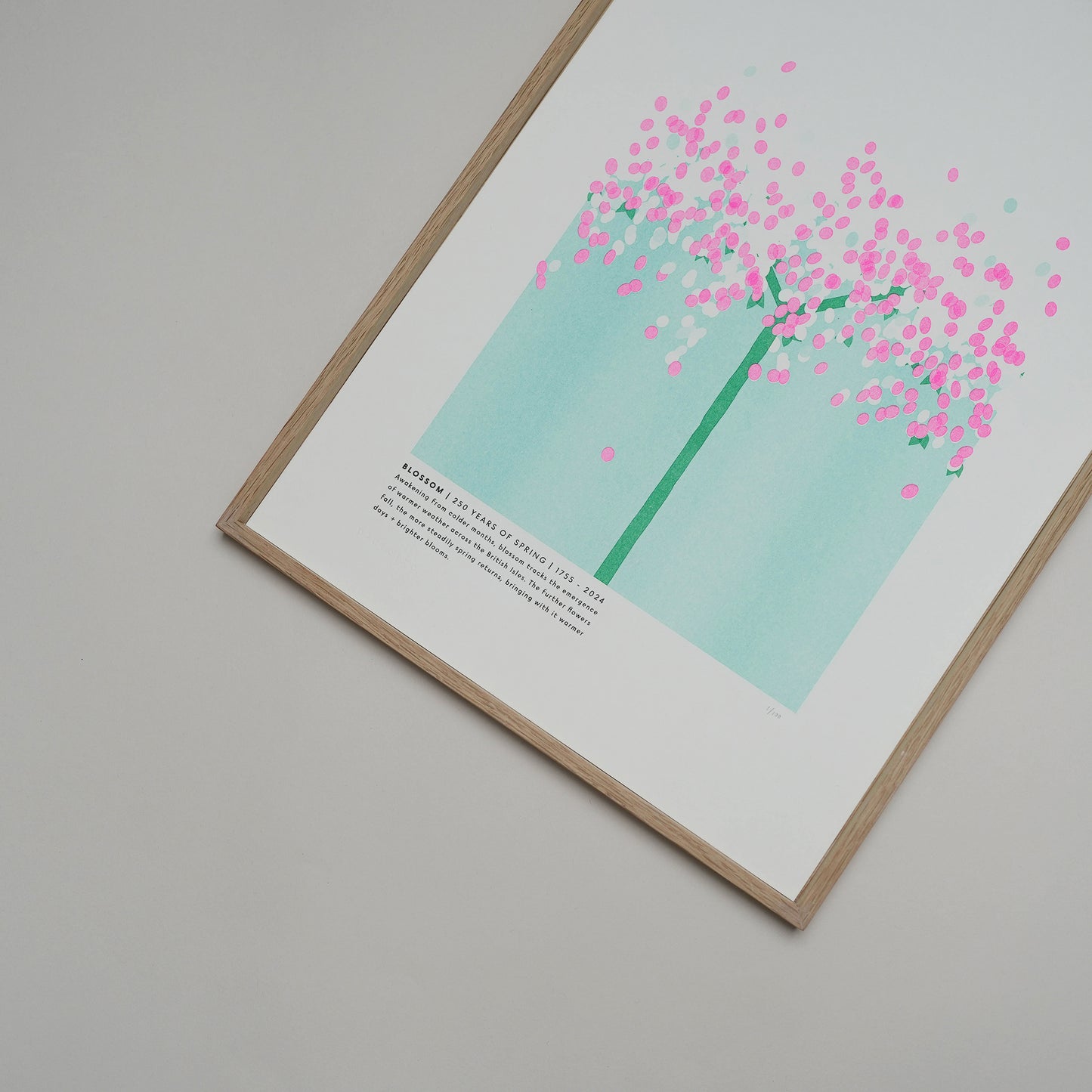 Blossom Risograph Print