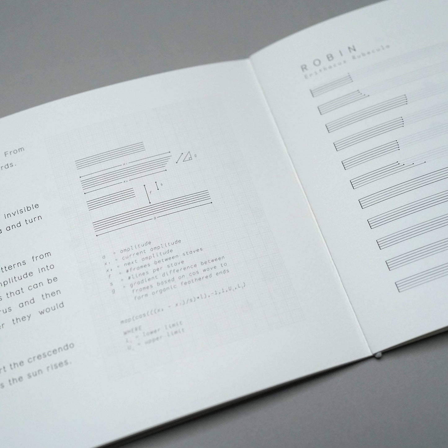 Dawn Chorus Book
