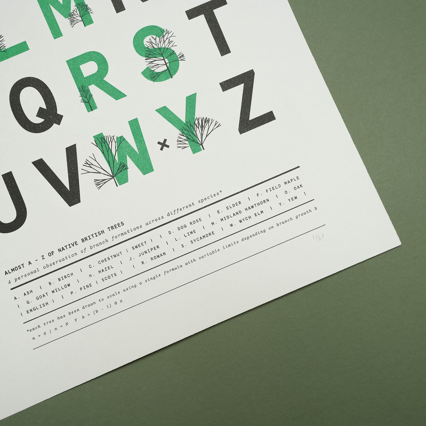 A3 Limited Edition A - Z of Trees Risograph Print