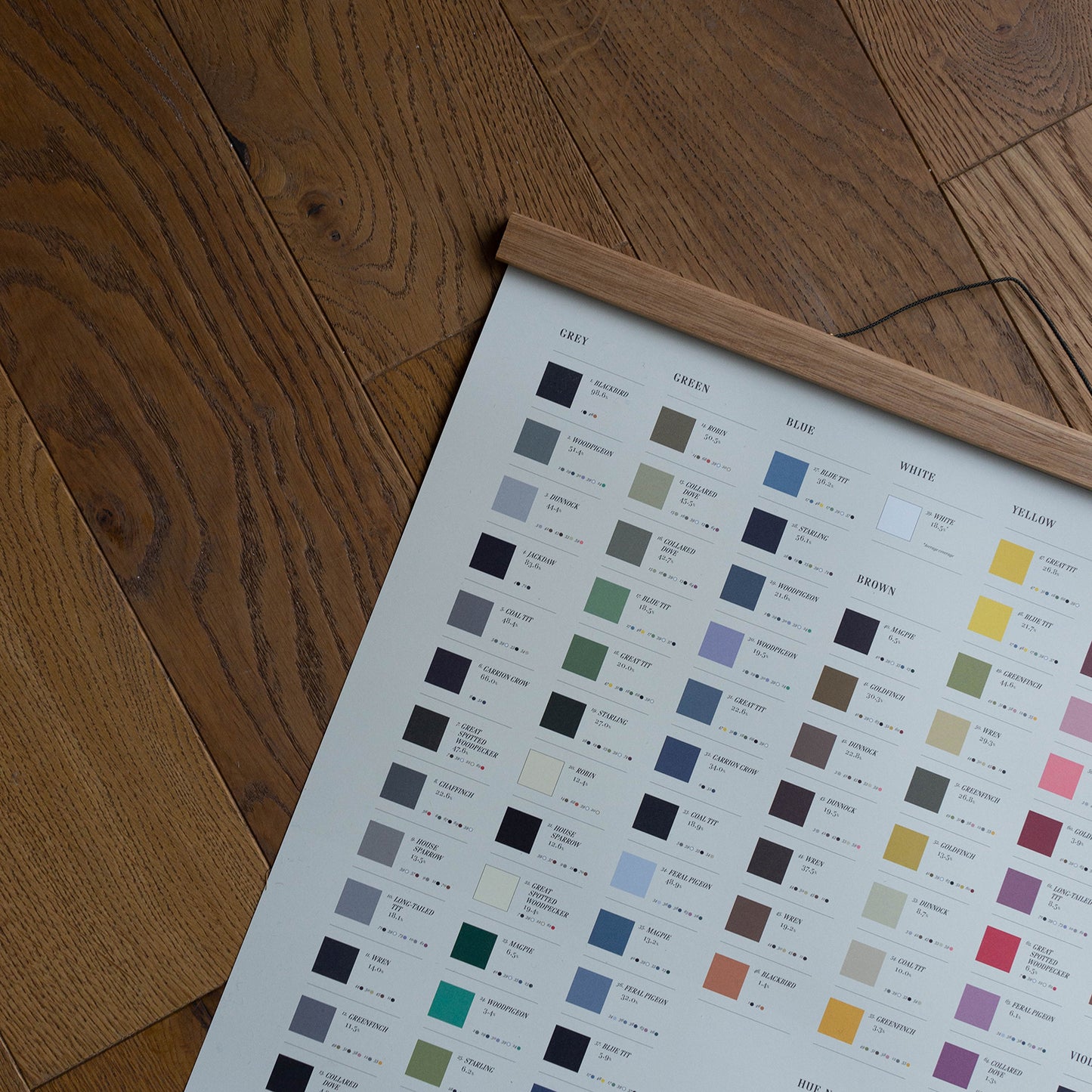 400mm x 500mm Bird Colours Lithograph Print