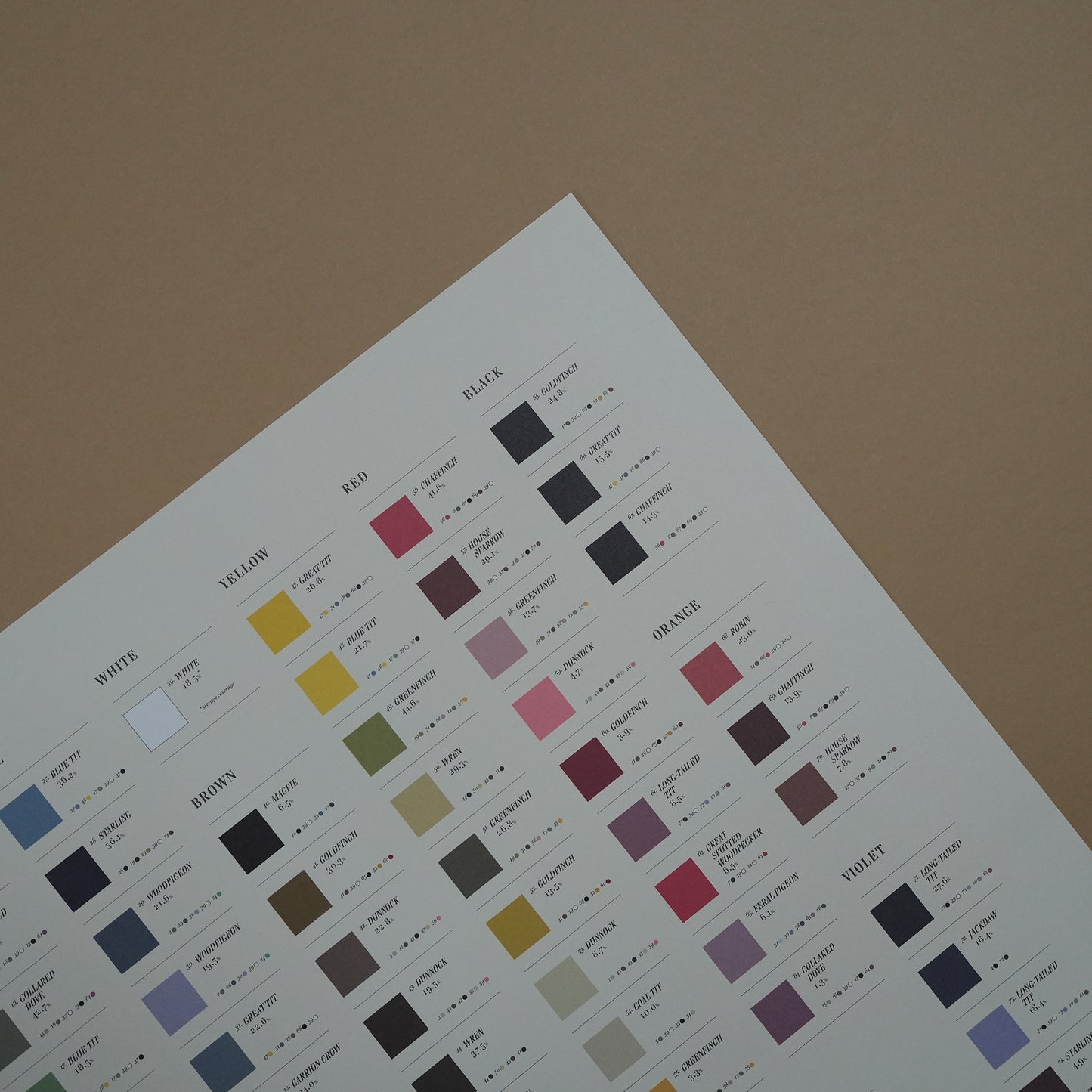 Bird Colours Lithograph Print