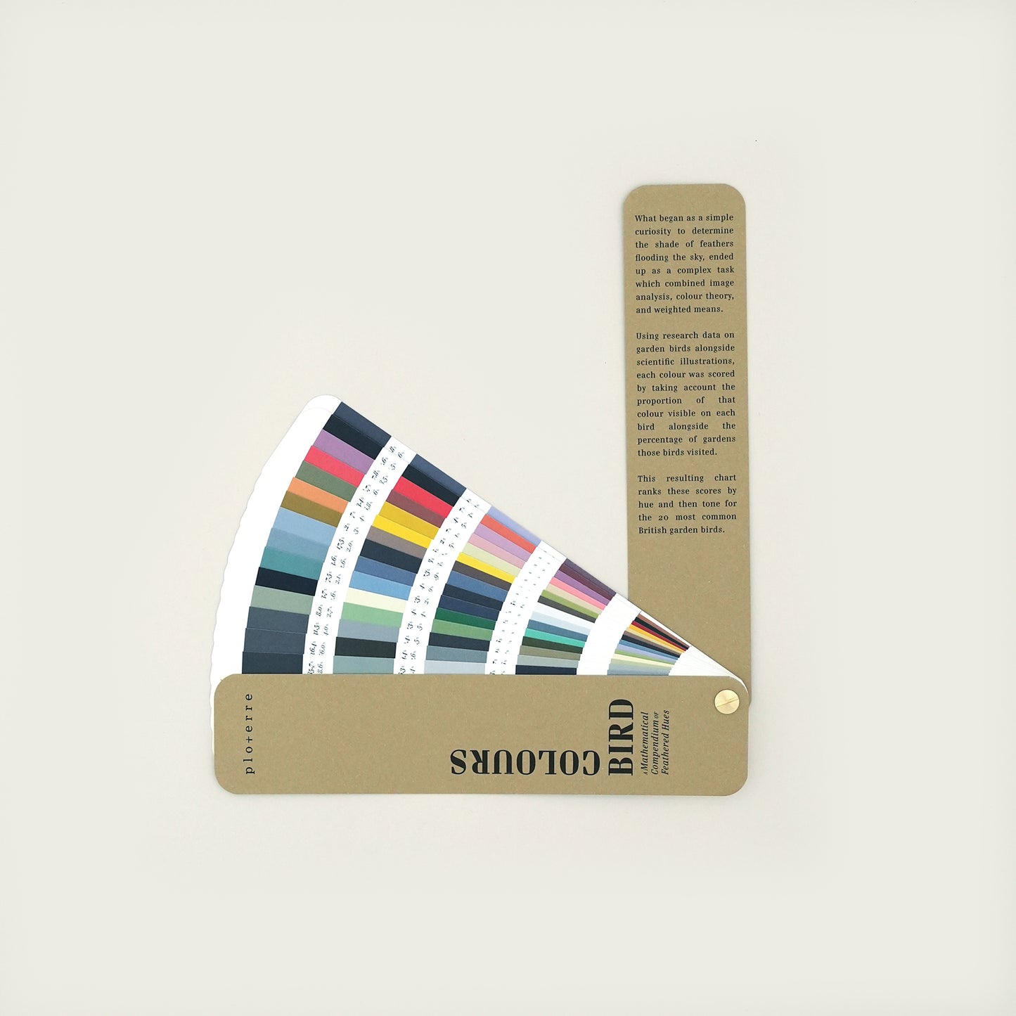 Bird Colours Book