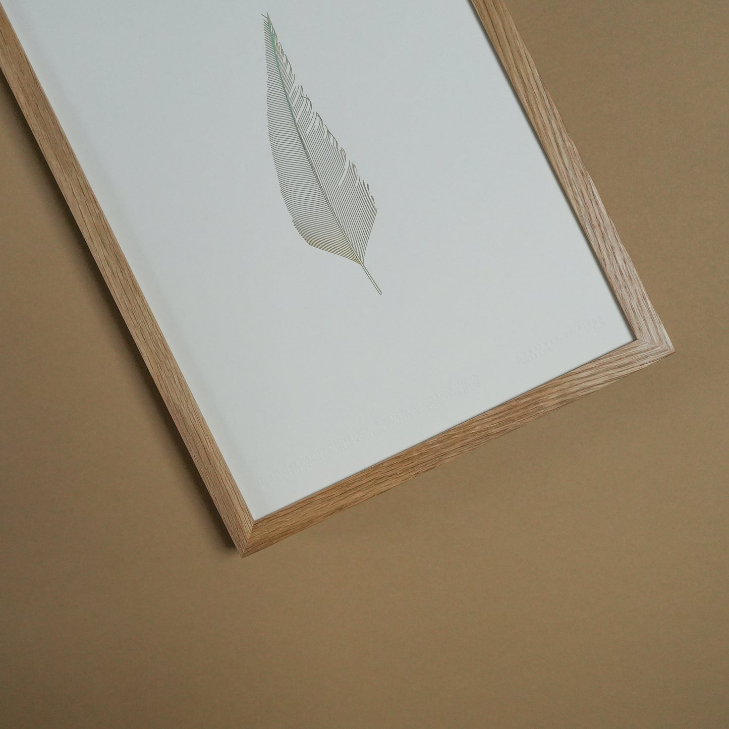 A4 Limited Edition Feather Foiled Print