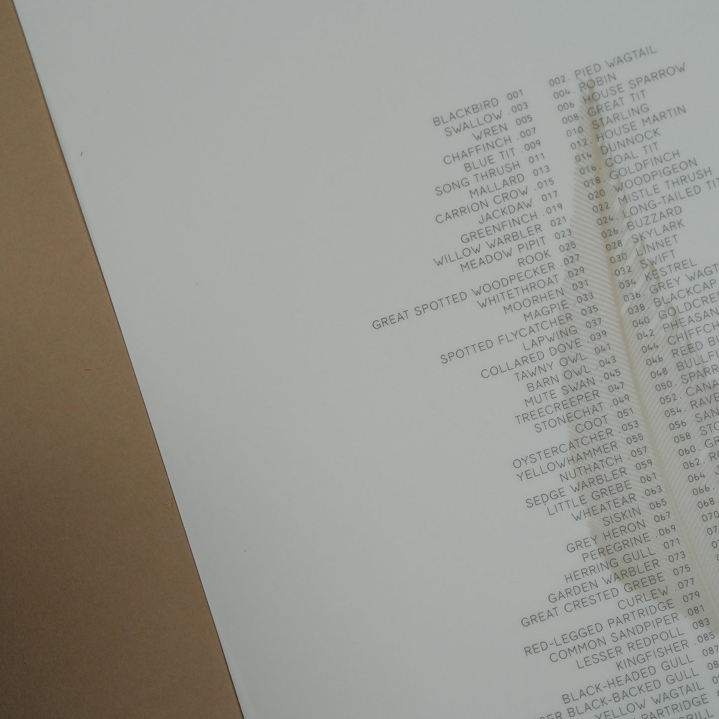 A4 Limited Edition Feather Foiled Print