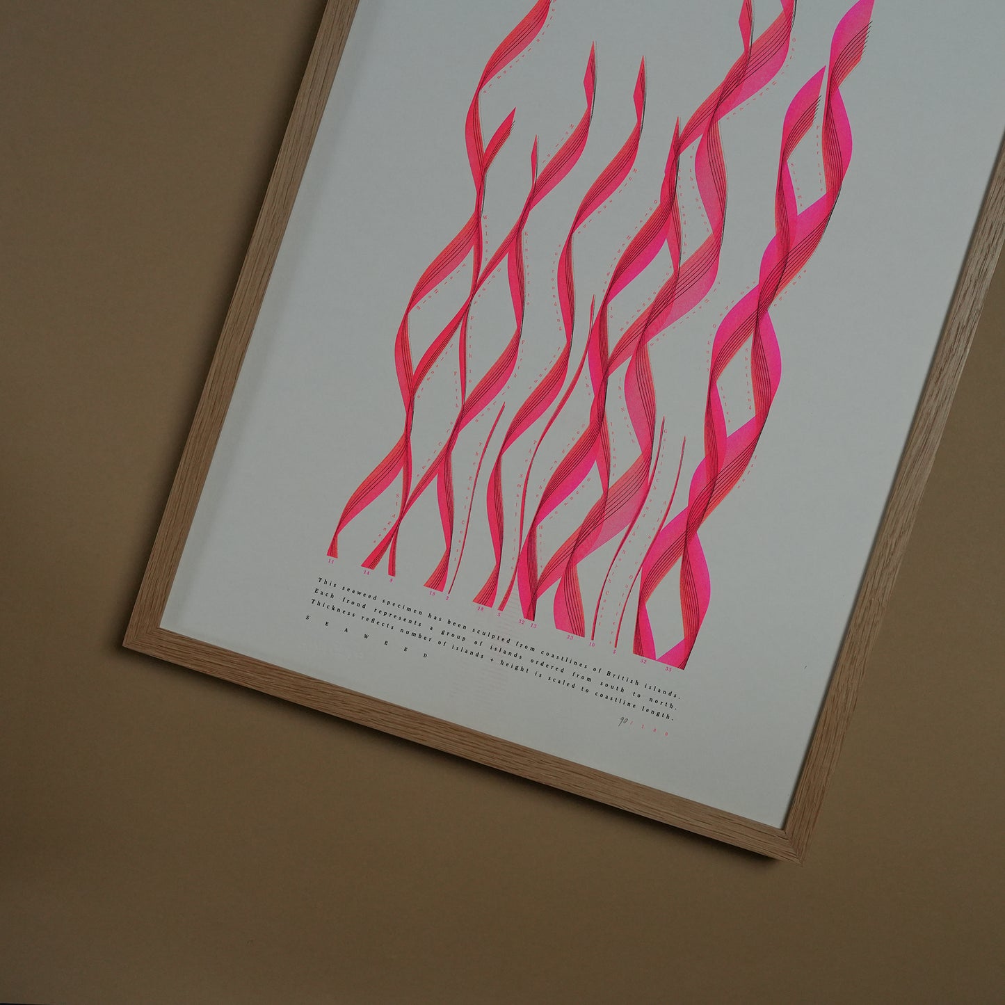 Risograph A3 Prints