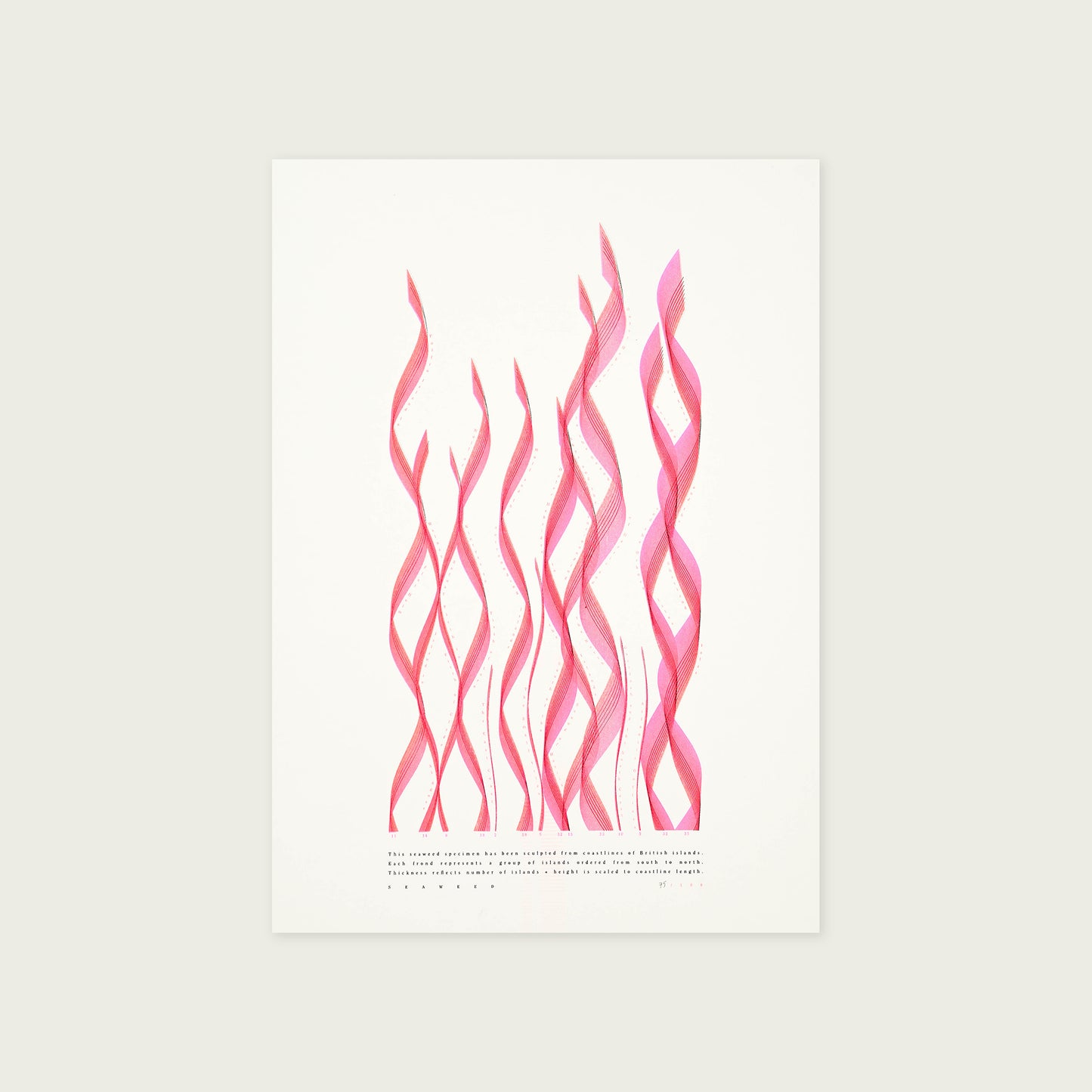 Risograph A3 Prints