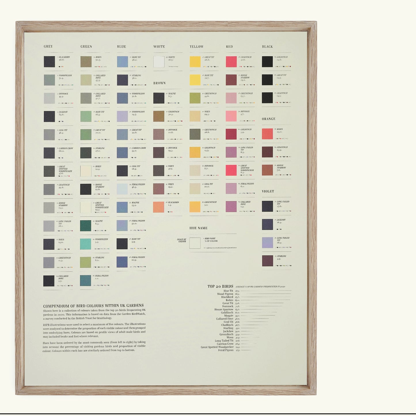 400mm x 500mm Bird Colours Lithograph Print