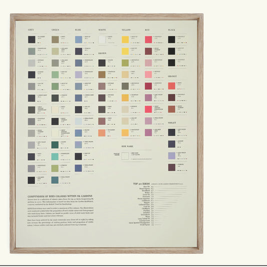 400mm x 500mm Bird Colours Lithograph Print