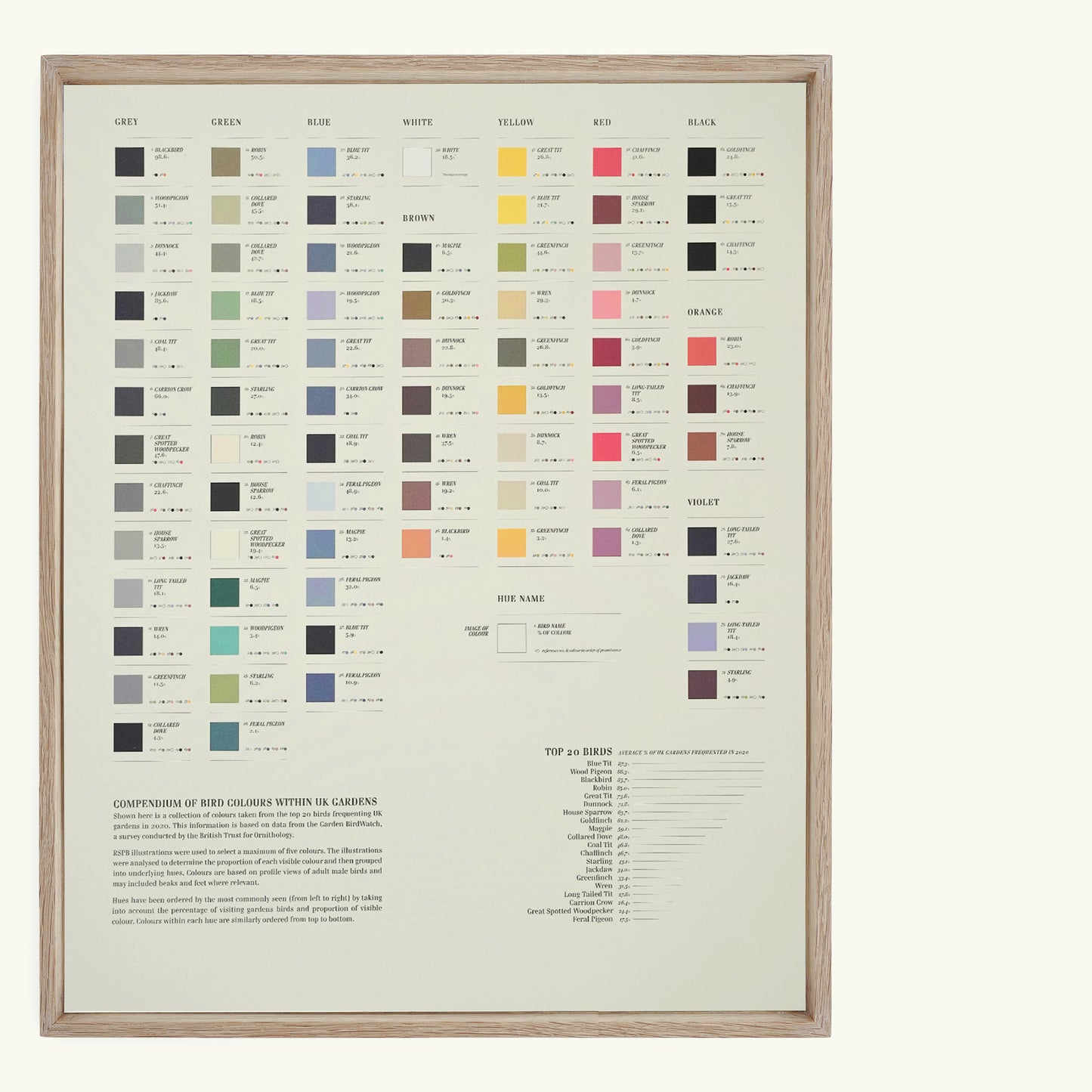 400mm x 500mm Bird Colours Lithograph Print