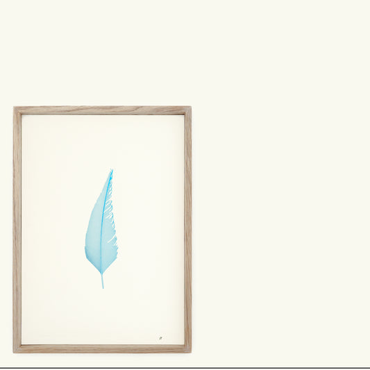 A4 Limited Edition Foiled Feather Print