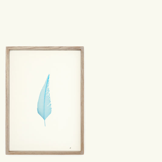 A4 Limited Edition Feather Foiled Letterpress Print