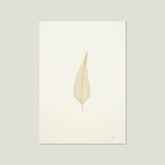 Feather