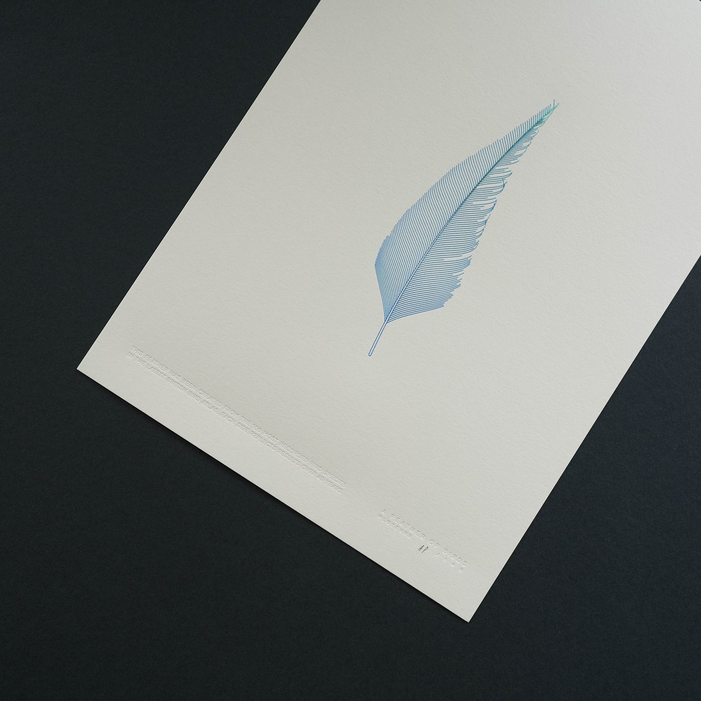A4 Limited Edition Blue Feather Foiled Print