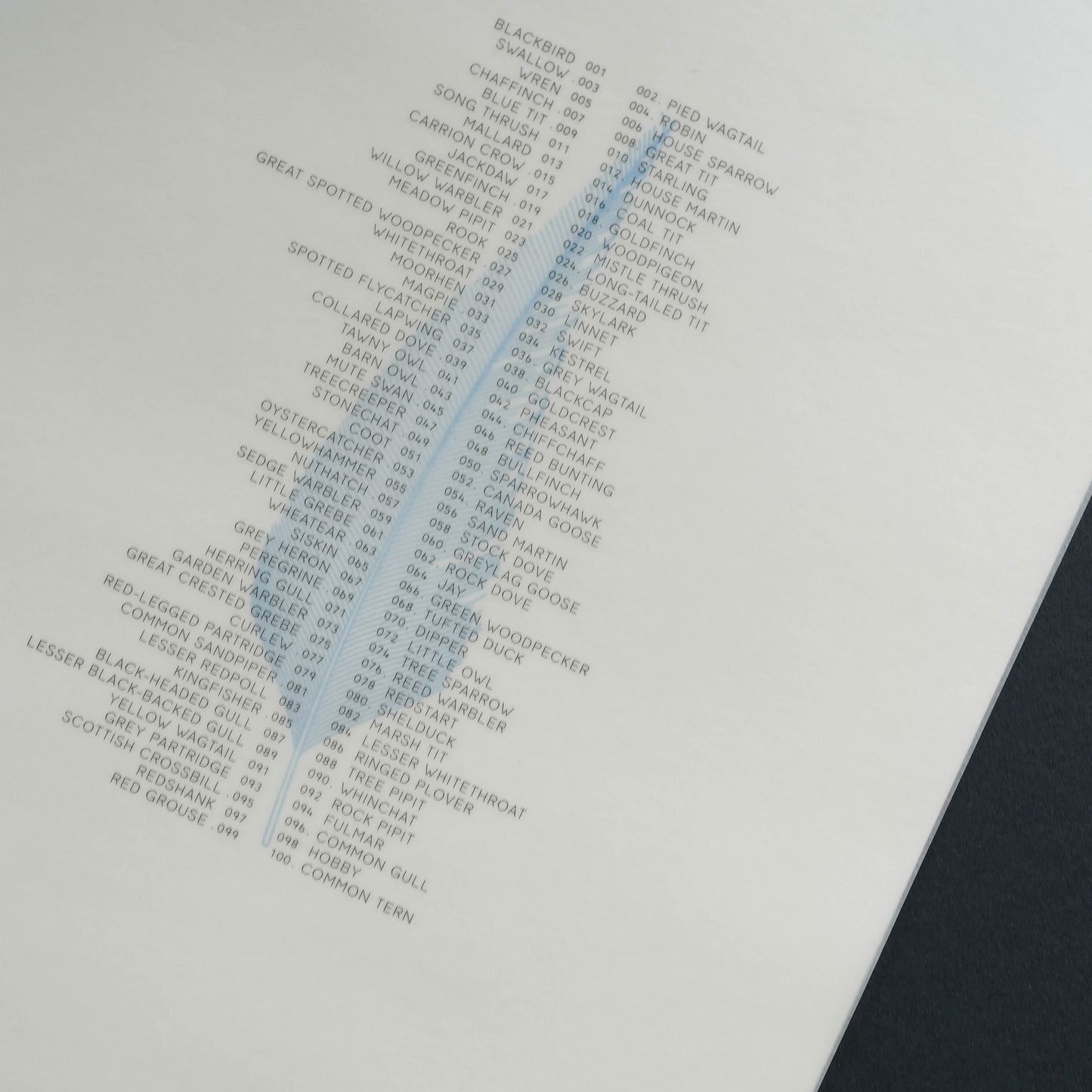 A4 Limited Edition Blue Feather Foiled Print