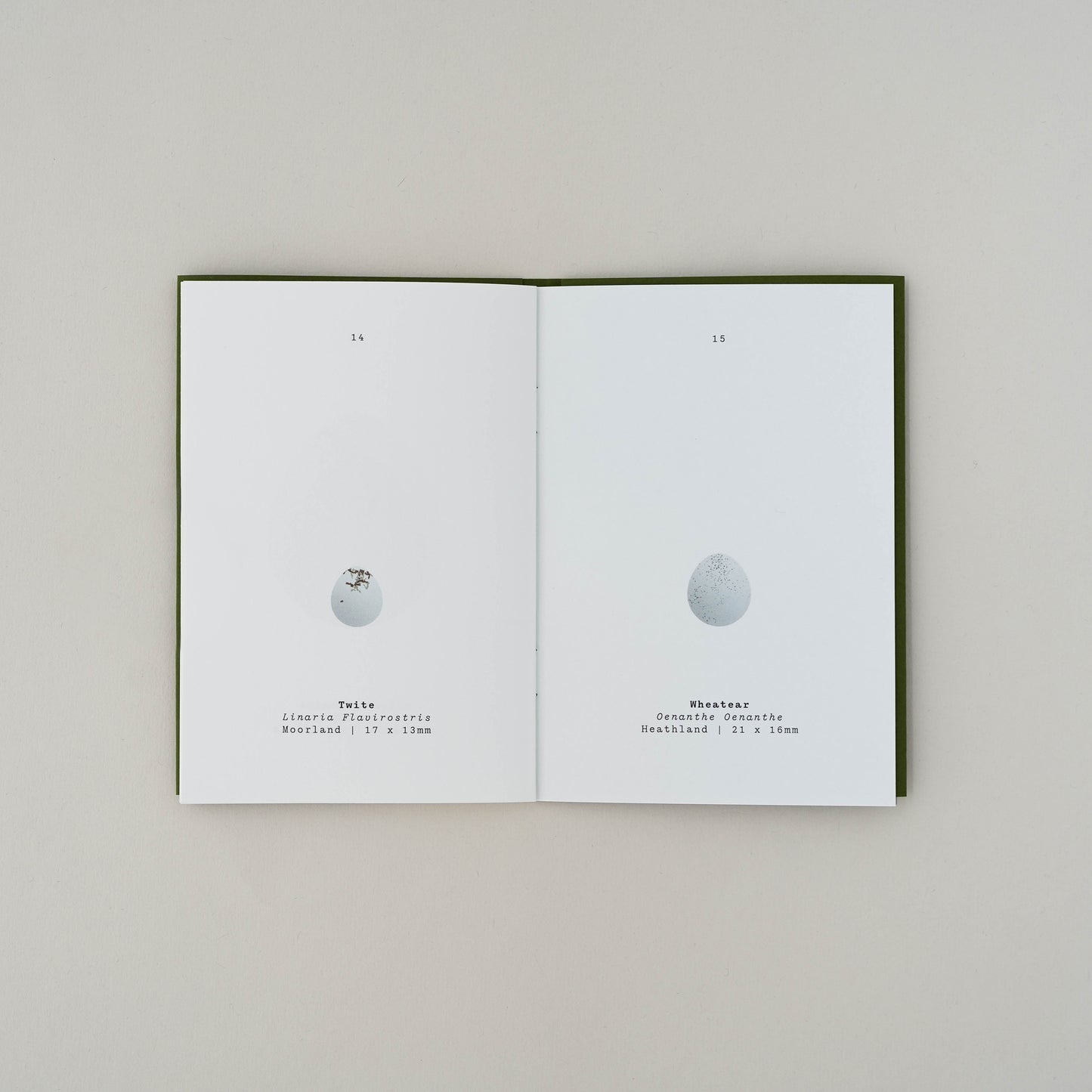Bird Egg Book