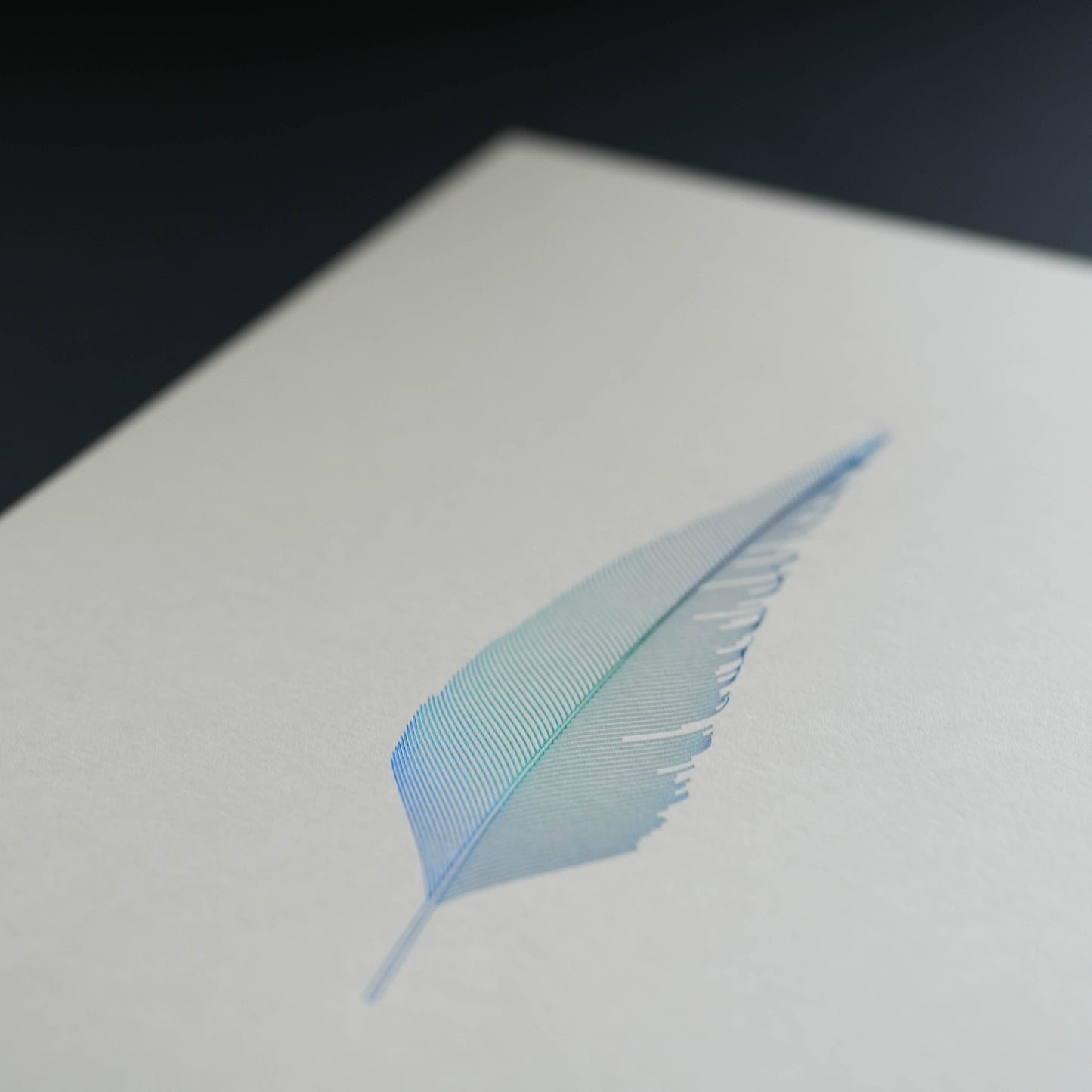A4 Limited Edition Blue Feather Foiled Print
