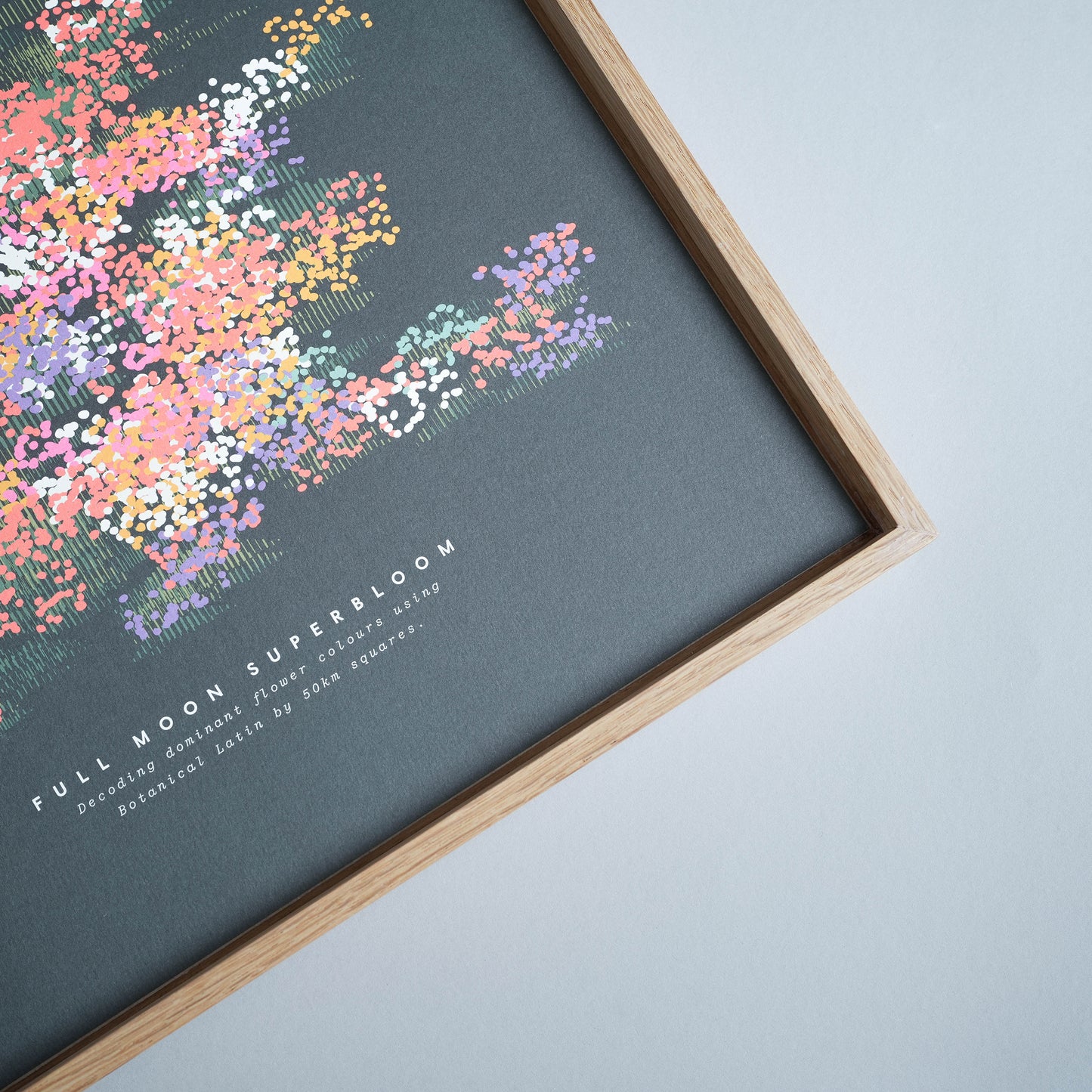 A3 Full Moon Superbloom Print
