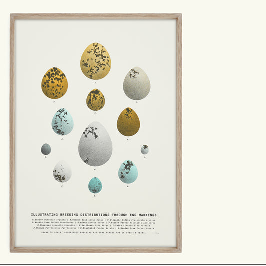 A3 Limited Edition Bird Egg Risograph Print