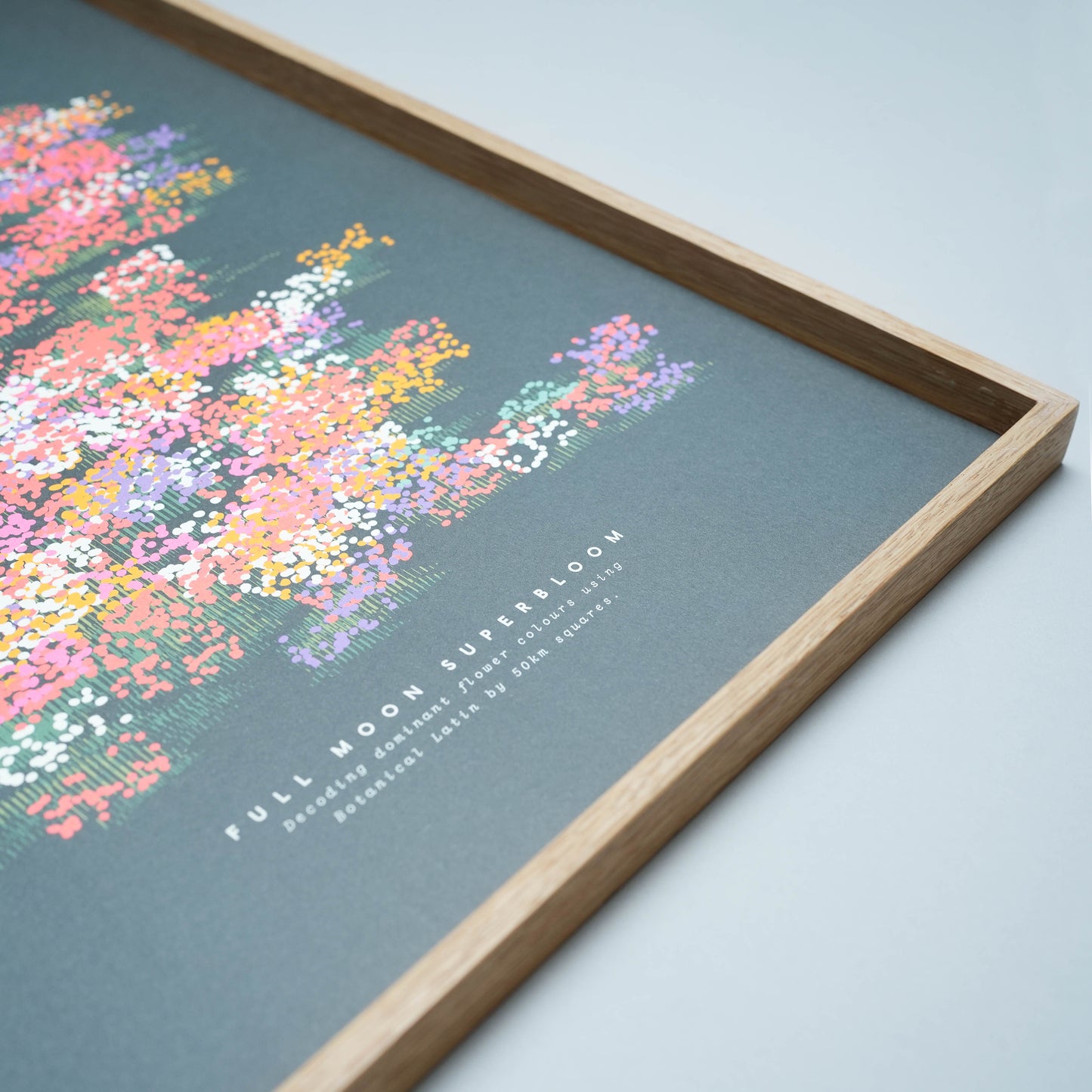 A3 Full Moon Superbloom Print