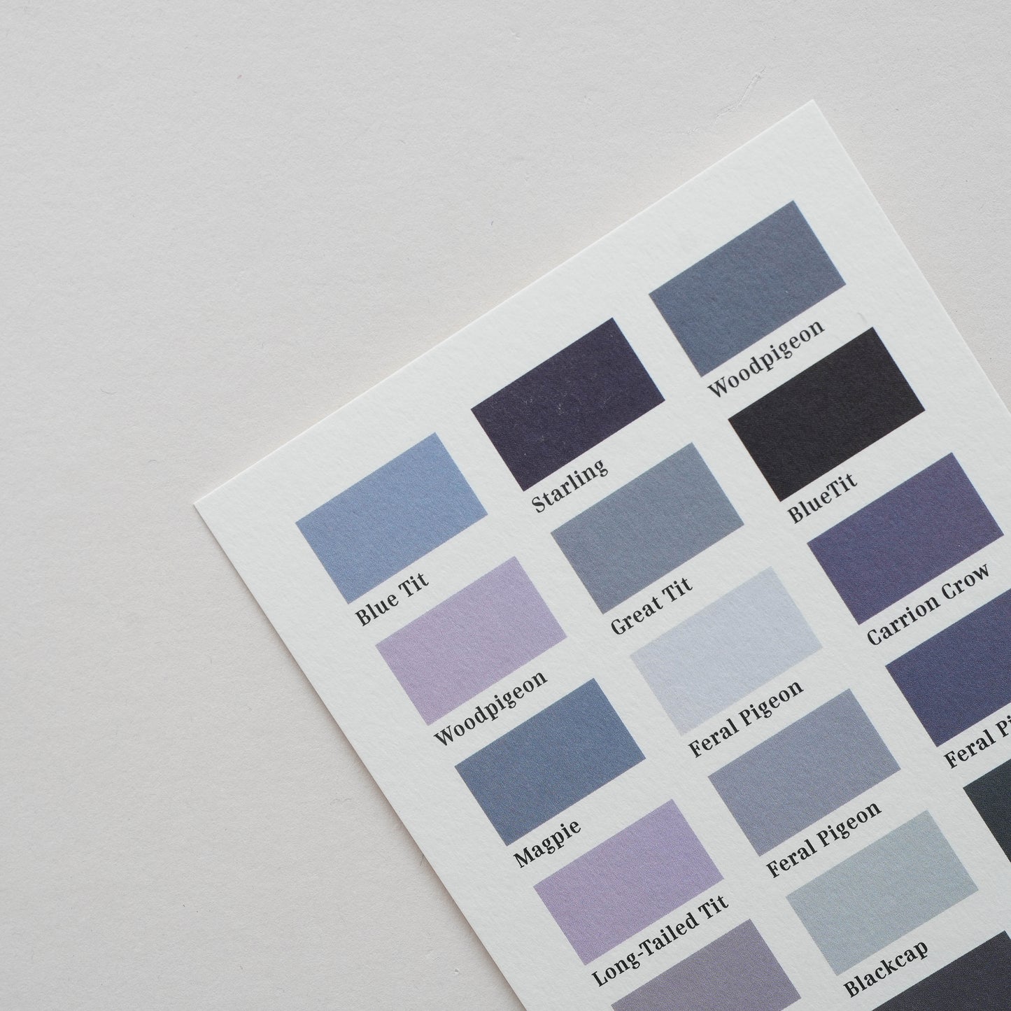 Blue Bird Hues Smallprint