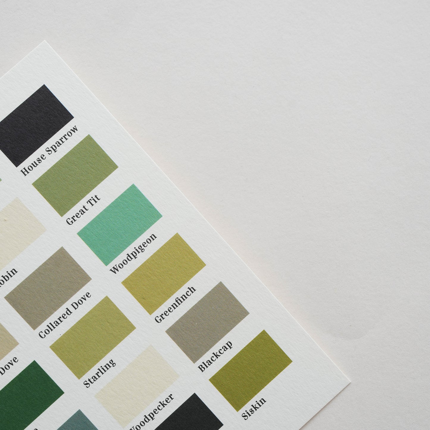 Green Bird Hues Smallprint