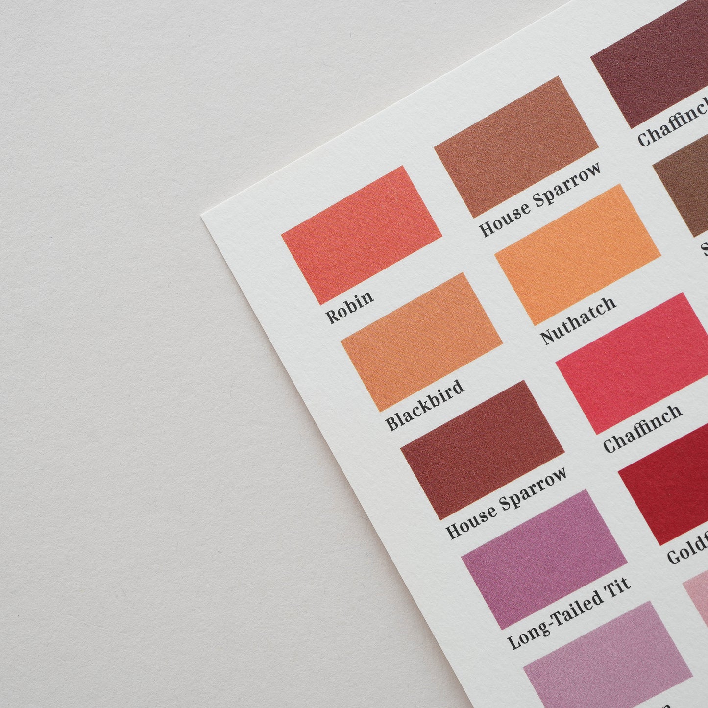 Red Bird Hues Smallprint