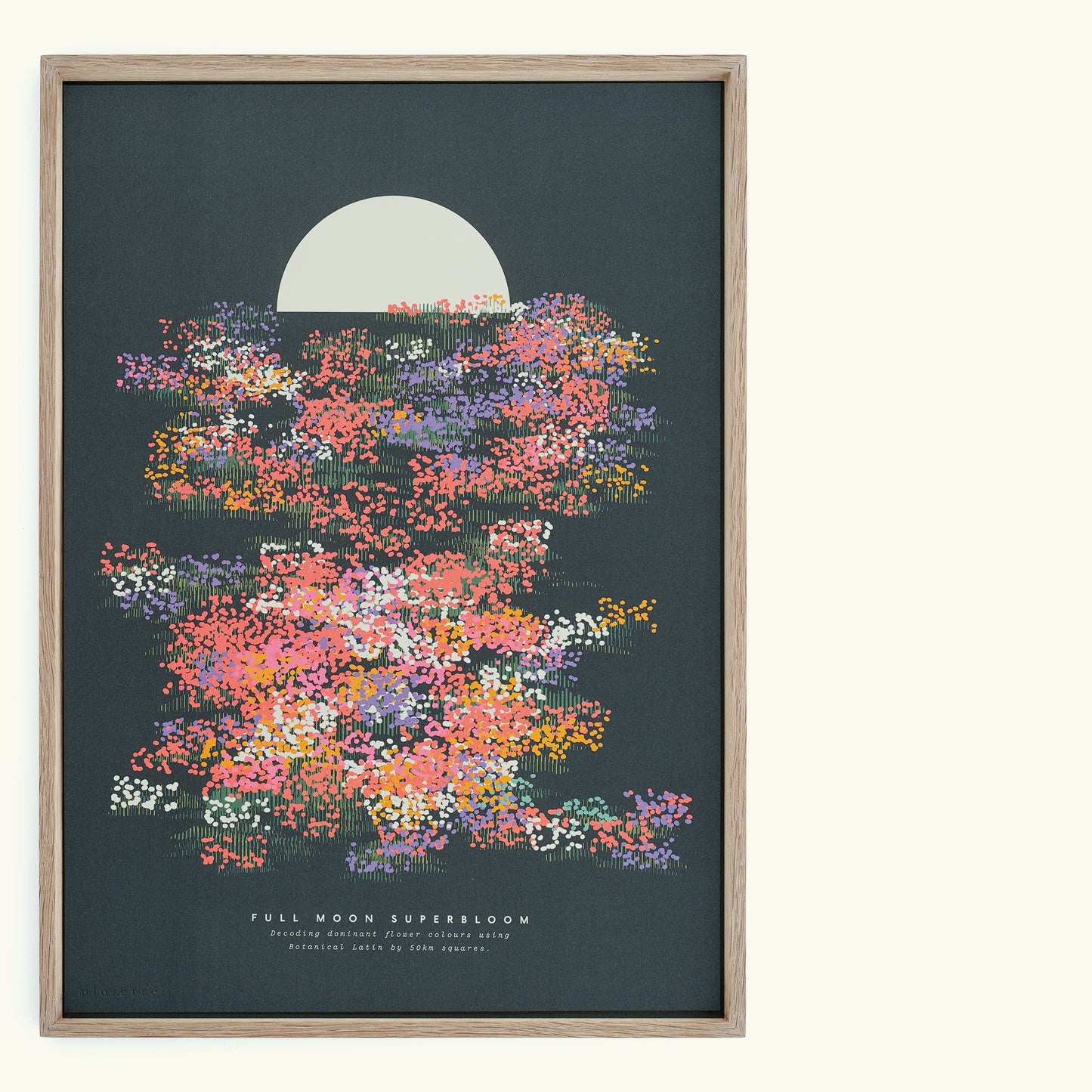 A3 Full Moon Superbloom Lithograph Print