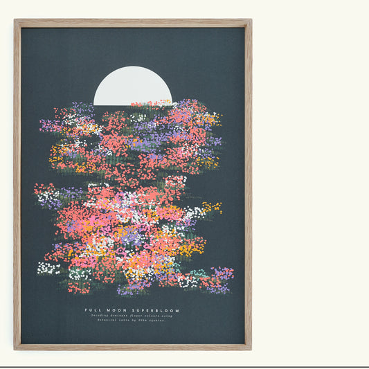 A3 Full Moon Superbloom Print
