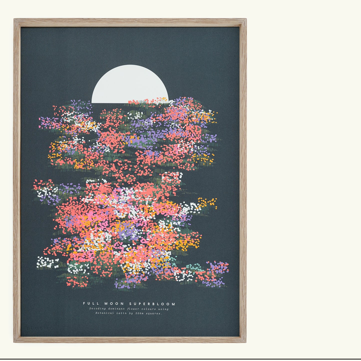 A3 Full Moon Superbloom Lithograph Print