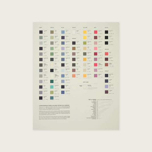 Bird Colours Lithograph Print