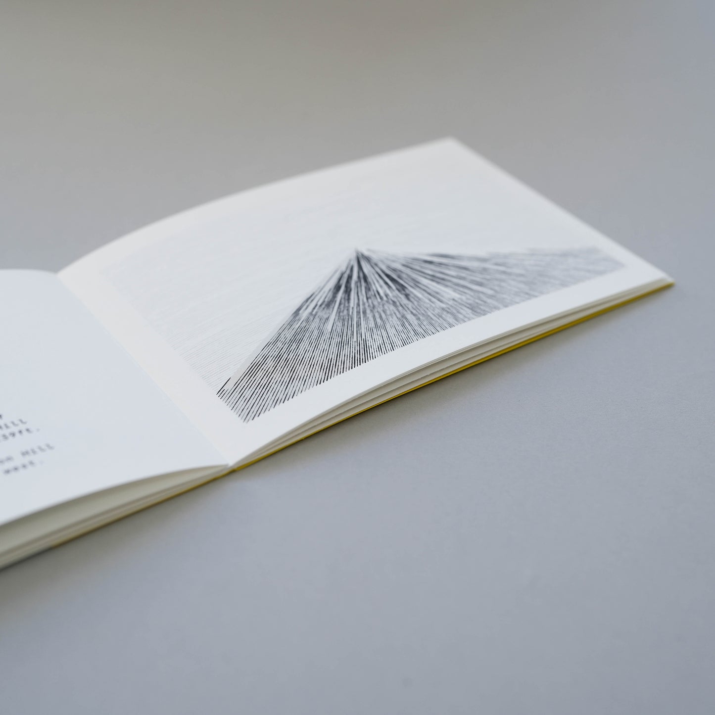 Mountain Book