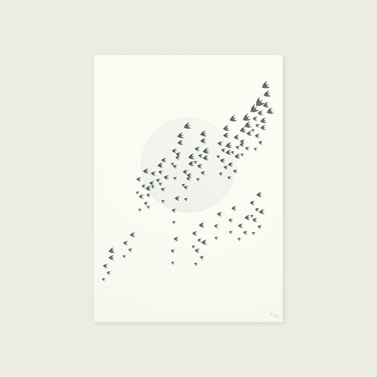 Limited Edition Birds Letterpress Print